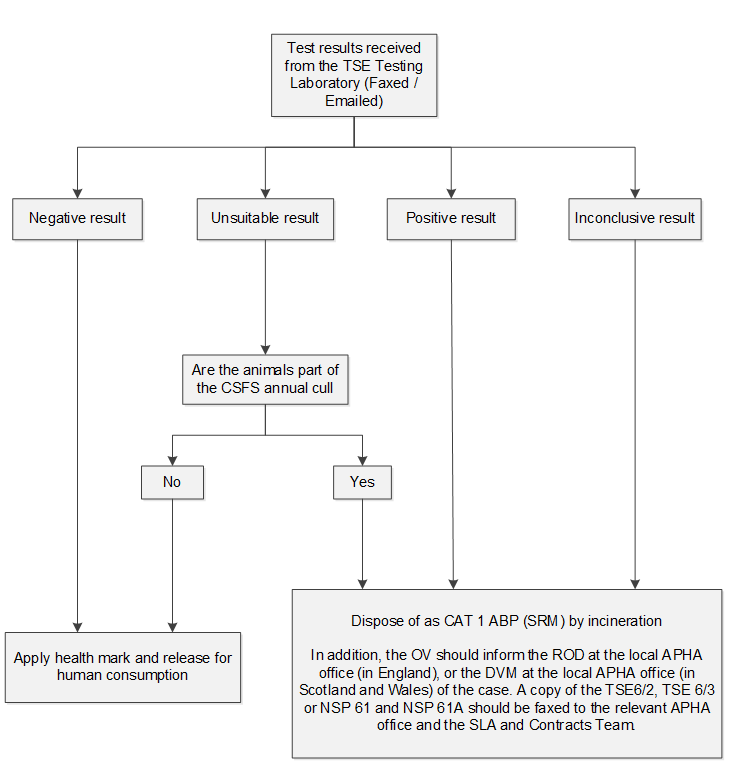 Test result flow chart. If a negative result, or an unsuitable result and the animal IS NOT part of the CSFS annual cull, apply health mark and release for human consumption. If a positive result, an inconclusive result, or an unsuitable result and the animal IS part of the CSFS annual cull, dispose of as cat 1 ABP (SRM) by incineration.  In addition, the OV should inform the ROD at the local APHA office in England, or the DVM at the local APHA office in Wales and Scotland, of the case. A copy of the TSE 6/