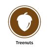 Tree Nuts Allergen Icon example