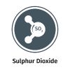 Sulphur Dioxide Allergen Icon Example