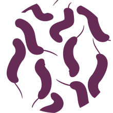 Campylobacter icon